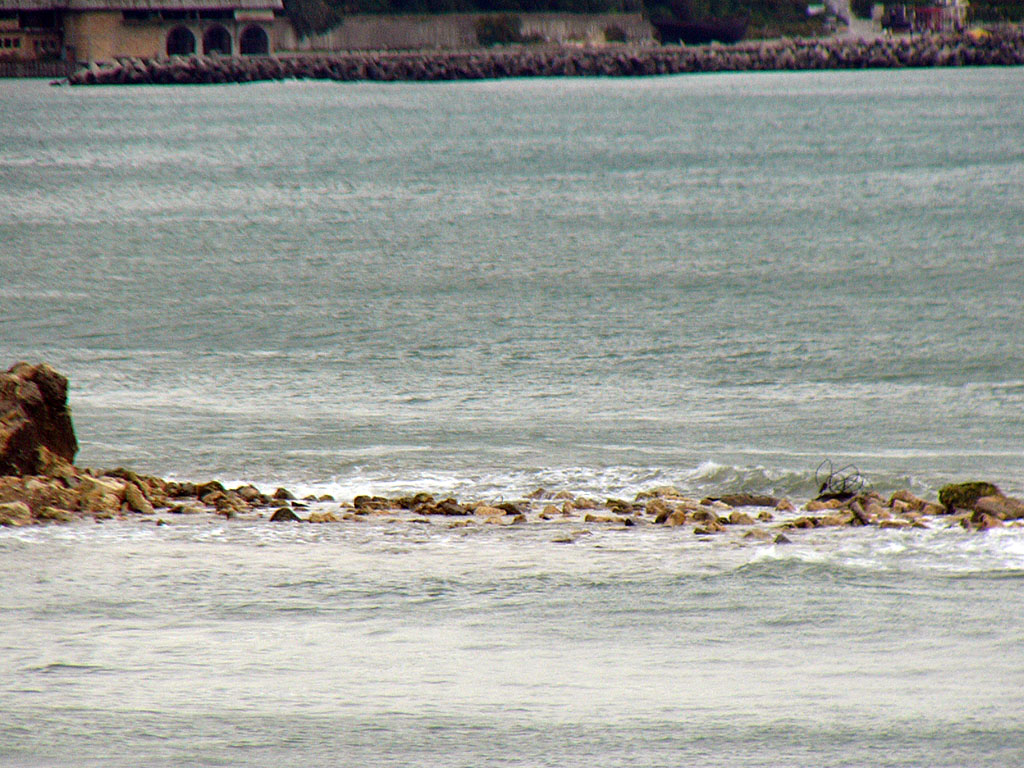 140903-130.AM.jpg