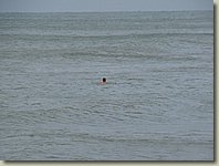 140903-111.AM.jpg