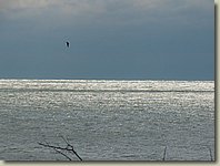 140903-128.AM.jpg 140903-128.AM.jpg
