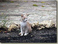 140903-144.AM.jpg 140903-144.AM.jpg