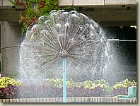 140903-153.AM.jpg 140903-153.AM.jpg