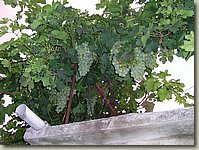 160903-201.MK.jpg 160903-201.MK.jpg