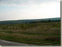 170903-052.AM.jpg